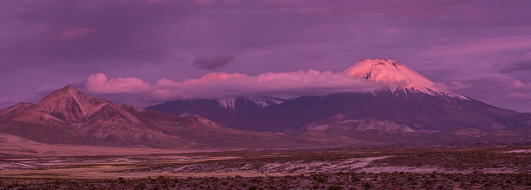 NatPhotoExplora's tweet photo. Maravillosa foto tomada por #RodrigoMoraga en nuestra #expedición Altiplano. #Natphoto #ParqueNacional #Lauca https://t.co/qjmwxktjPh