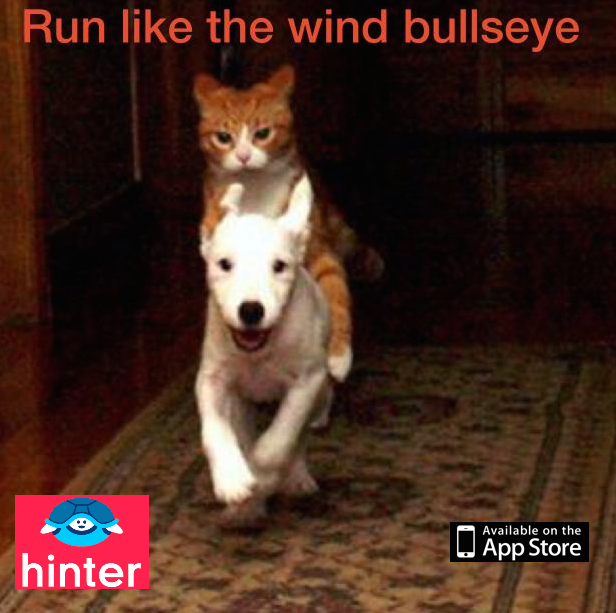myhinterapp's tweet photo. Run like the wind bulleye. Tap to reveal: https://t.co/7PYv1CroZn #bulleye #memes #mondaymotivation https://t.co/qrQecNO8AD