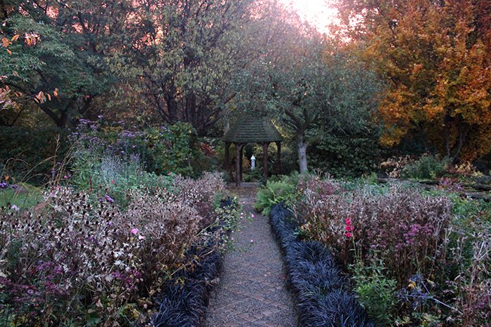 Andrew84003885's tweet photo. Early morning photography @YorkGategarden @PerennialGRBS https://t.co/RKtfbryncE