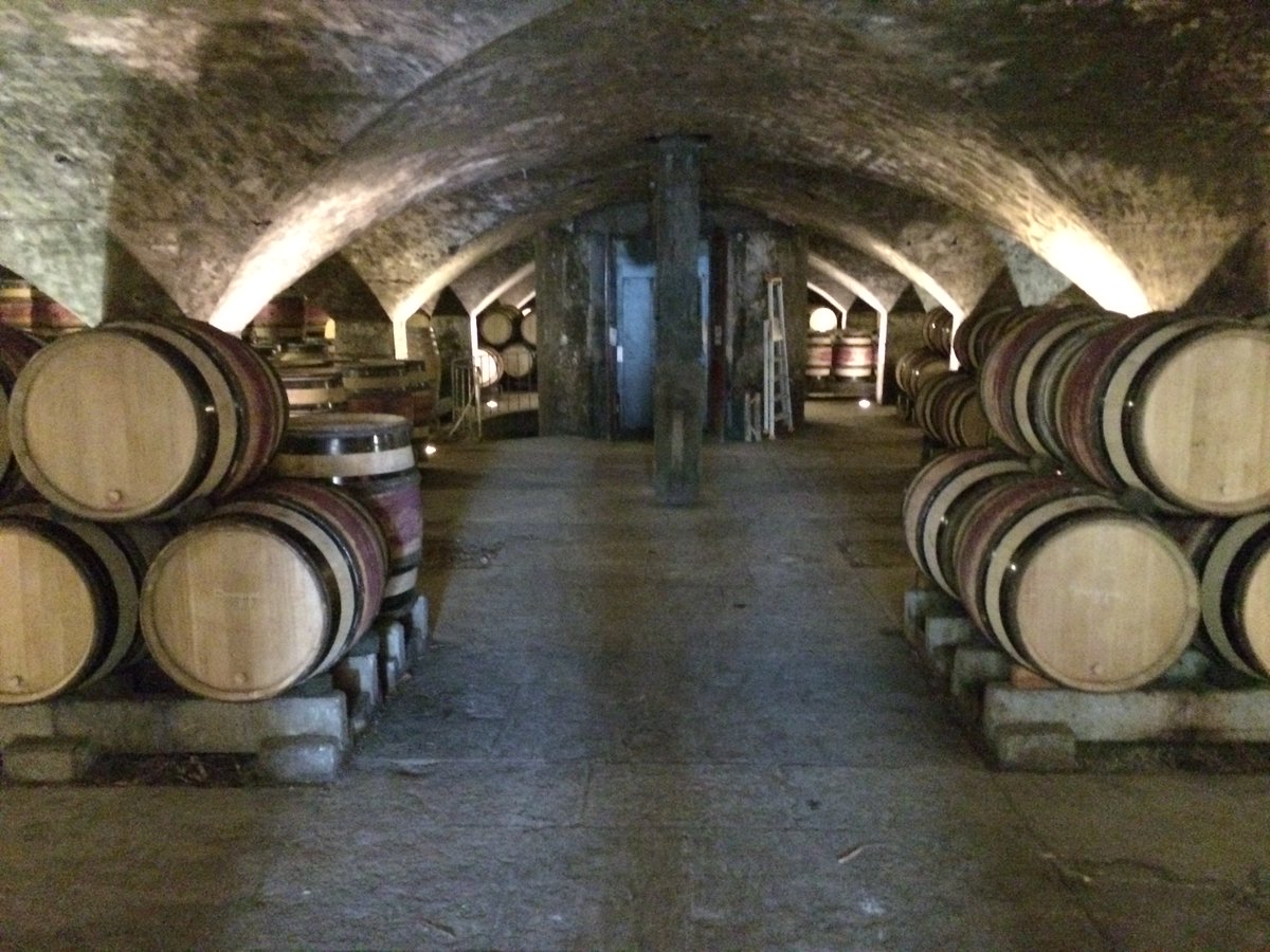 TrustCooperage's tweet photo. We are cellar dwellers. #teamtrust #winetime #wineaboutit @cooperage #barrelmaker #winecellar #trustinternational https://t.co/wPM6I0xKP6
