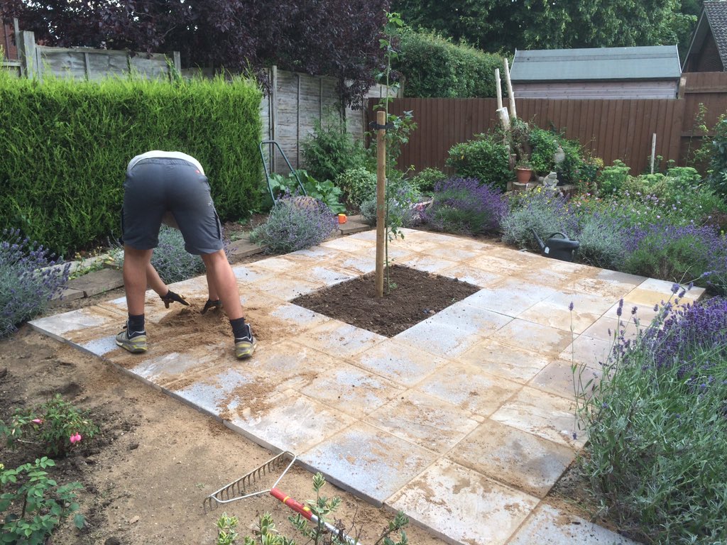 MGoddardSwoogel's tweet photo. #lookingback #lowmaintenance #pavedarea planted with lovely #laburnumtree all goods supplied by #colesplantcentre https://t.co/UkRMktEknH