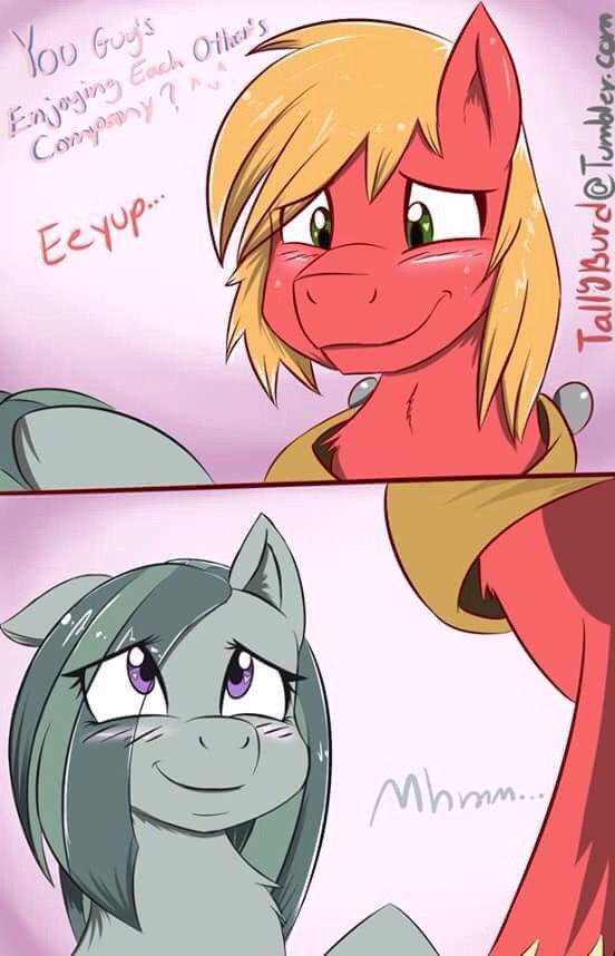 ZDdoesMC's tweet photo. I ship iiiiiiiiiiiiiiiit.......... #Brony #marblemac #DAWWW https://t.co/xhxMV4hjss