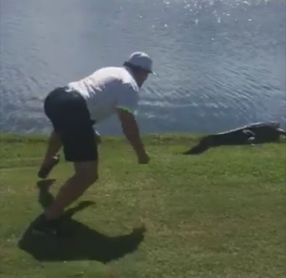 Yahoo Sports NHL tweet media