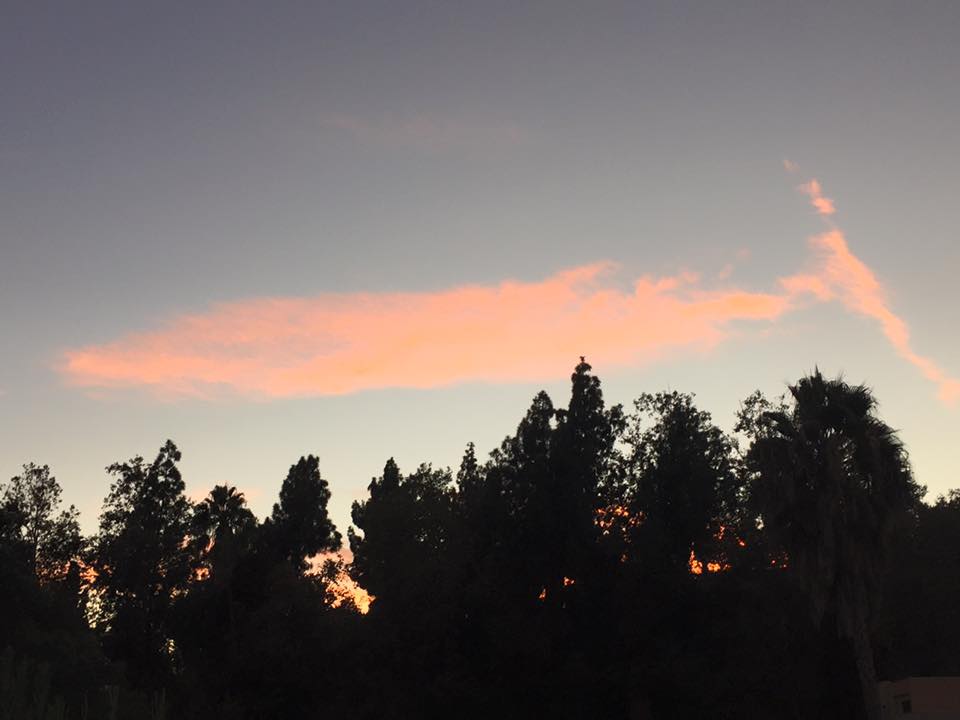 Nature put up this giant natural billboard for my next movie #IntheHeartoftheSea stars <a href="/chrishemsworth/">Chris Hemsworth</a> opening Dec.