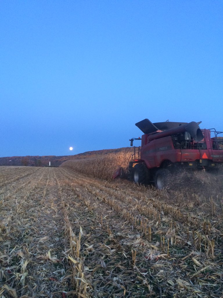 curtcooper4's tweet photo. Channel Plot under the lights https://t.co/HfLrT32UE1