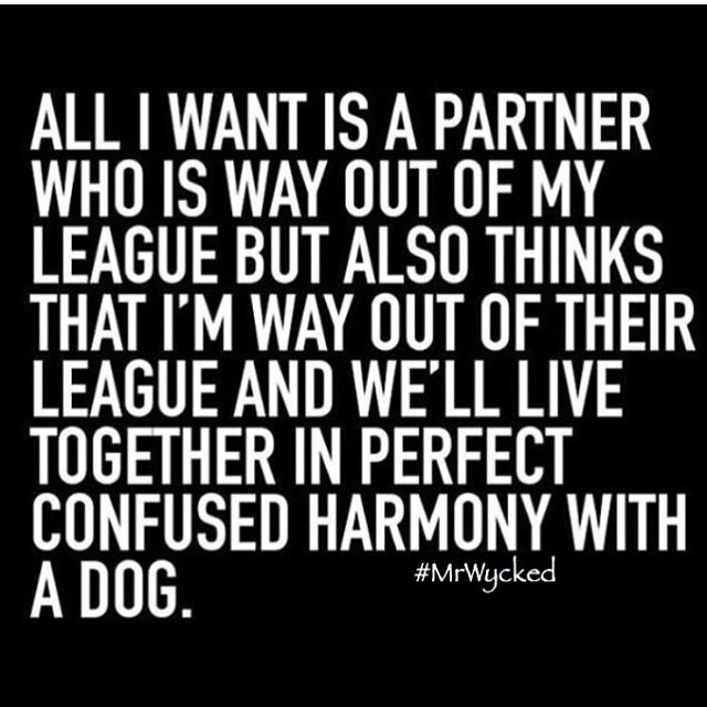 HagiBSN's tweet photo. Is this too much to ask for?😅 Ile keep bringing my image as best as I can, being myself. And the right one wil come? https://t.co/RPzB0sr0d0