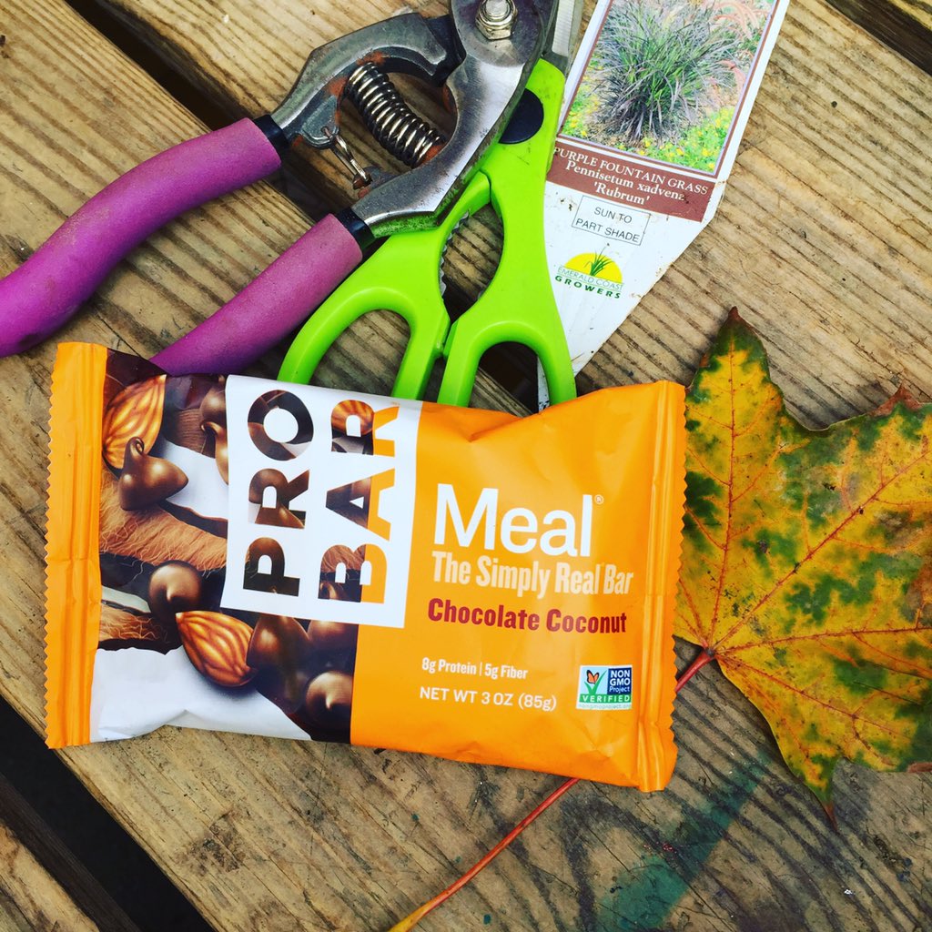 ANationOfMoms's tweet photo. First frost but the yard work isn't over! #PROBAR #fueledbyprobar #simplyreal #organic @THEPROBAR https://t.co/ZkOEQJFEQX
