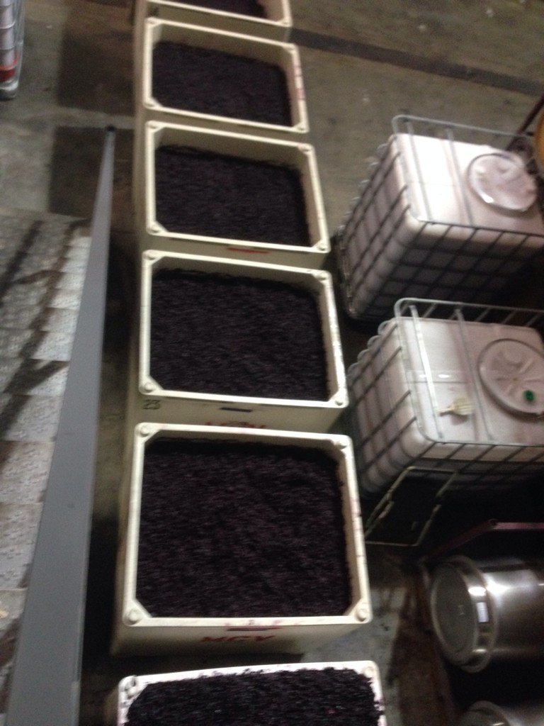 CaleOtto's tweet photo. Work out for the day: hand plunge 22 bins and 6 small closed top fermenters. Twice. #newyorkwine #northfork https://t.co/6TXjXEQRRD