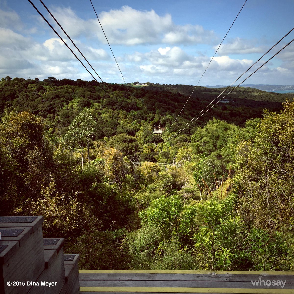 DinaMeyer's tweet photo. Zip line... So much fun! Thanks #EcoZip 👍😃 #WaihekeTours #NZ https://t.co/Nua9f3hJWH