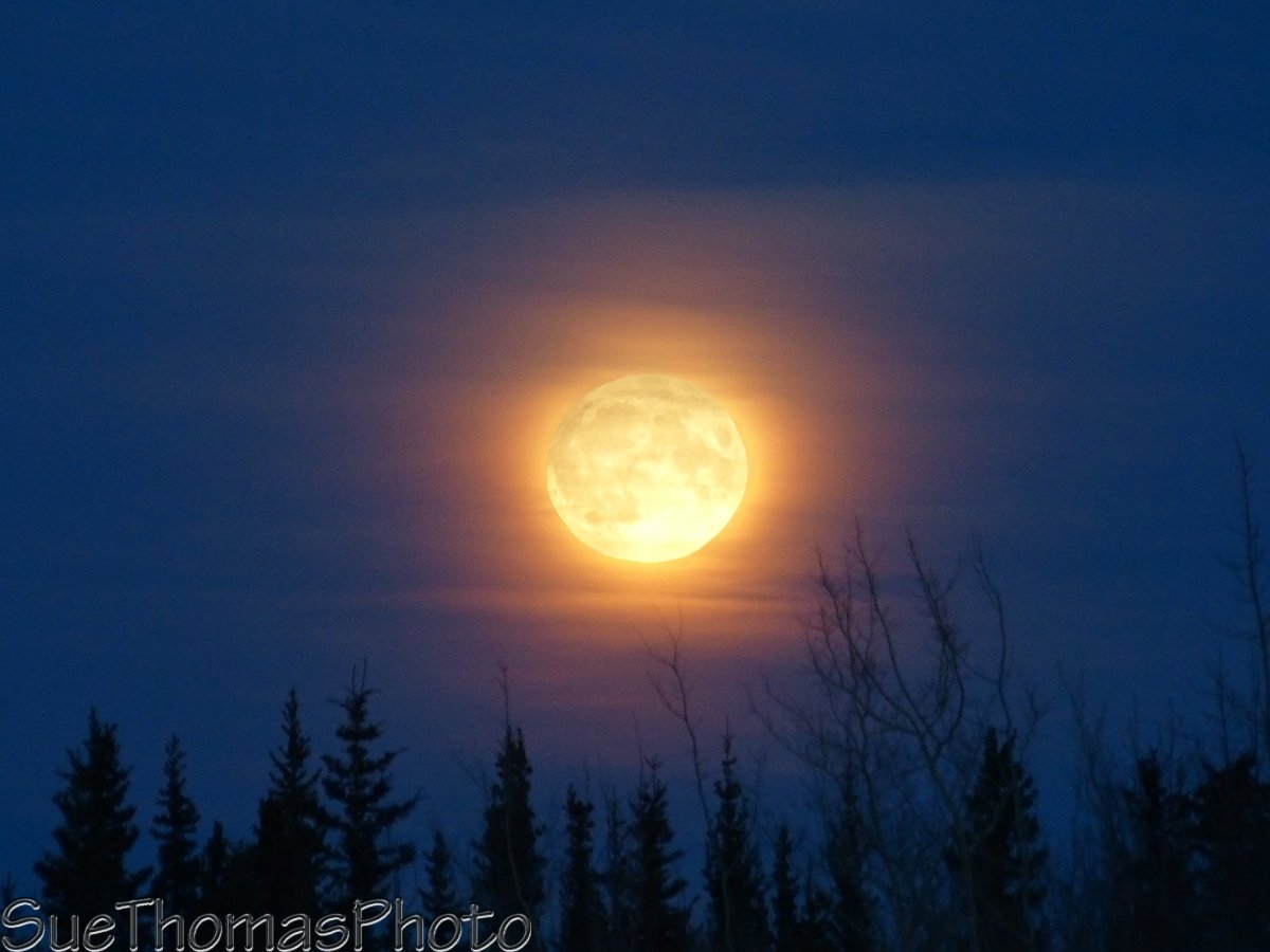 #moonrise over the Ibex Valley in #Yukon this evening. Wow!