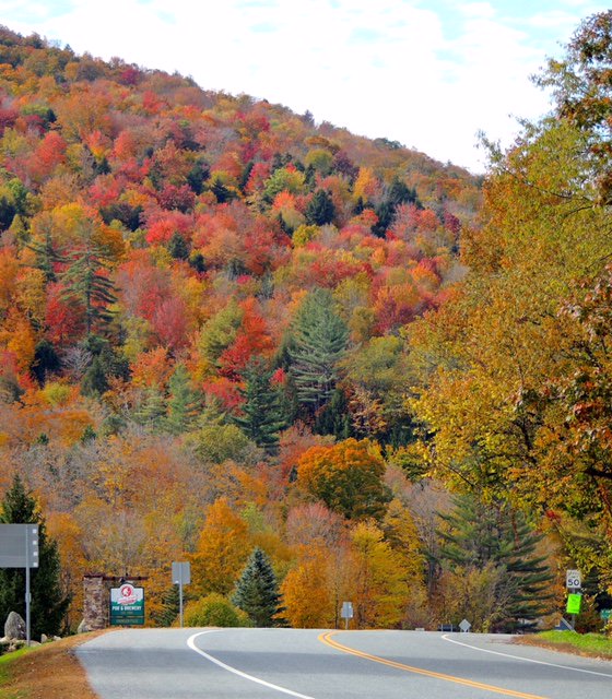 buzzhopper_'s tweet photo. #TIP OF THE DAY #leaf peeping in October where local #Boston #buzzhopper @biotechdoug goes https://t.co/cJS7HEjLmk https://t.co/gGGkG4YJ6q