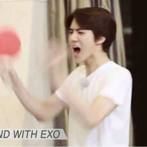 honeykaisoo's tweet photo. Lmao Sehun 😂😂 https://t.co/oaeBZ5GLiB