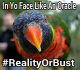 realbobby_mori's tweet photo. #RealityOrBust #RoB #Oracle #RealityTV #RRRtv #BobbyMori #TV #consultants
#followus https://t.co/GV4c60yvLO