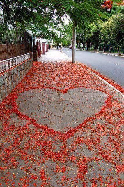 luv_watch's tweet photo. On the path towards connection online eventually you come across Luvwatch #onlinedating #singlelife https://t.co/ibrH5OYrZs