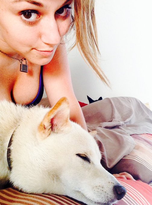 Nap time #collared https://t.co/LqJlkIlzHu<a href="/tag/collared"class="tags">#collared</a>