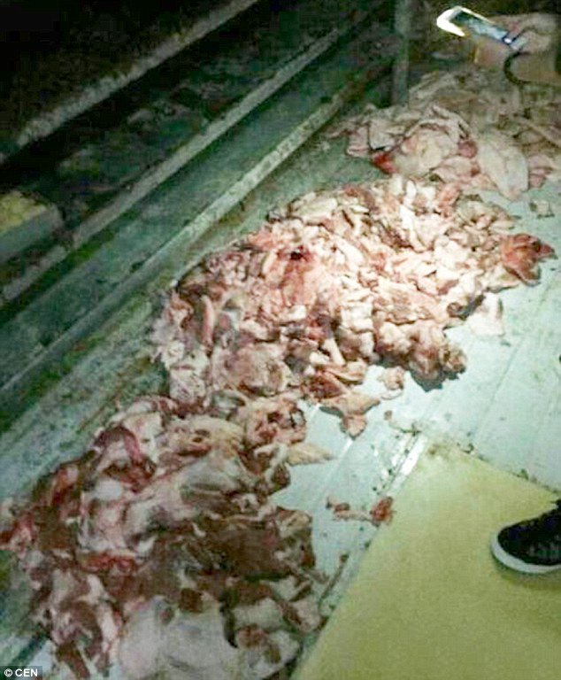 DailyMail's tweet photo. Students in China are served lunch made from meat stored on the FLOOR 
https://t.co/Y6QMyJd4SX https://t.co/Wn50NZYPnM
