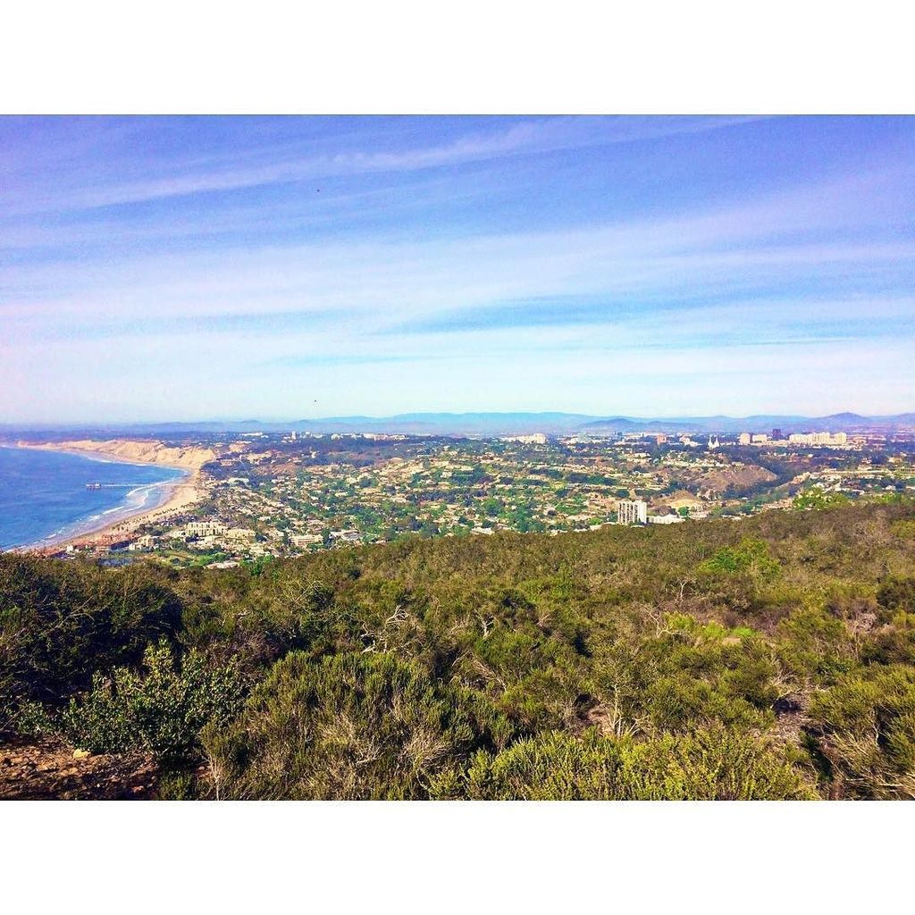CaTurfPros's tweet photo. As you think you travel, and as you love, you attract. -James Allen

#lajolla #EverydayCalifornia #sandiego #mysdph… https://t.co/4JuQ6EODJB