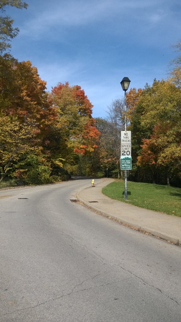 ayusman_cse's tweet photo. Fall colors a https://t.co/8fkkmftpBc