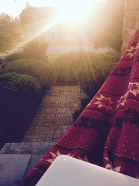 Misty-Blu Ropp tweet media