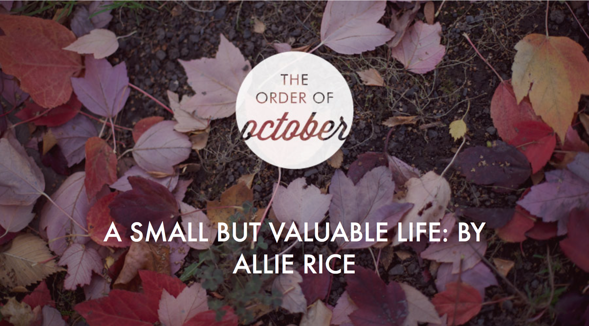 alliecreative's tweet photo. Guest posting on @dianewcomer's blog today about living a small but valuable life. https://t.co/waZbgEQGKo https://t.co/nYV3qXSLjm