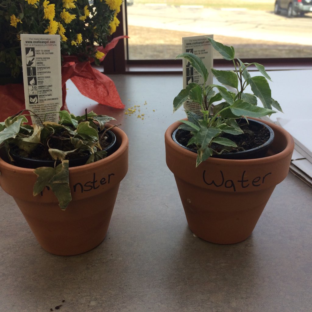 Pretty cool projects happening.