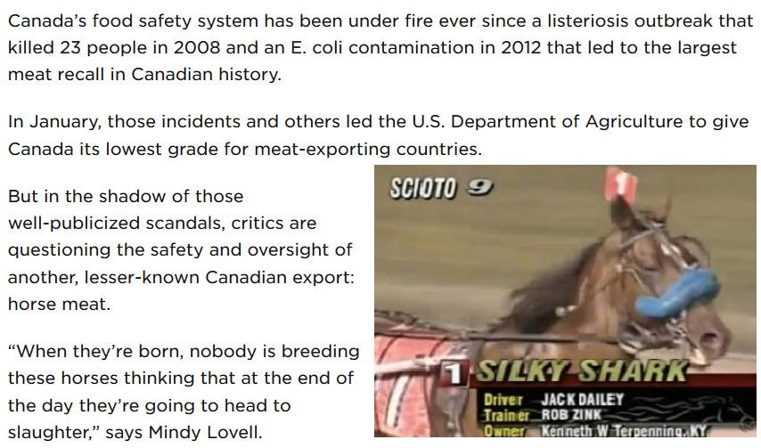 HorsesRNotFood's tweet photo. Canada slaughters TOXIC US horses for global food supply #NoToxicHorsemeat https://t.co/9PZQQXRiOL https://t.co/1Sl3j2ZcBl