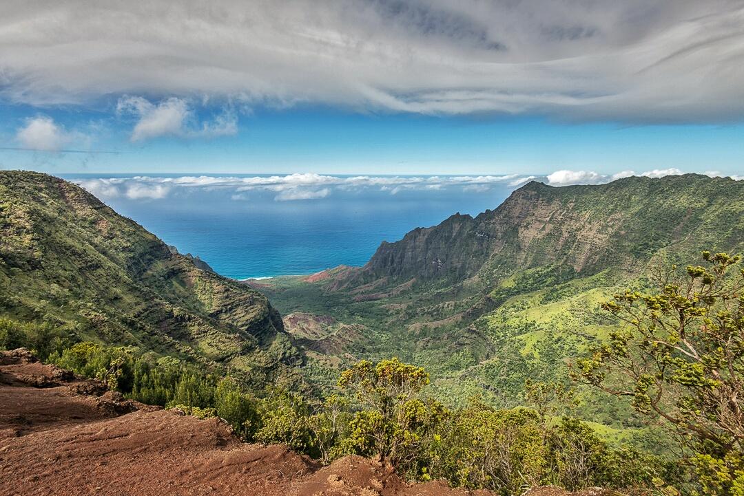 wanderingpix's tweet photo. Jurassic Park • Kalalau Lookout • #Kauai #Hawaii #travel #wanderlust #aloha #808 #gohawaii https://t.co/6uomxM4ze1