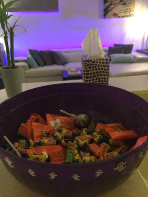 Sorry kiddos Mz D ate all the good candy. The vanilla  tootsie rolls &amp; Clark bars were delicious. #notsorry<a href="/tag/notsorry"class="tags"><span>#notsorry</span></a>
