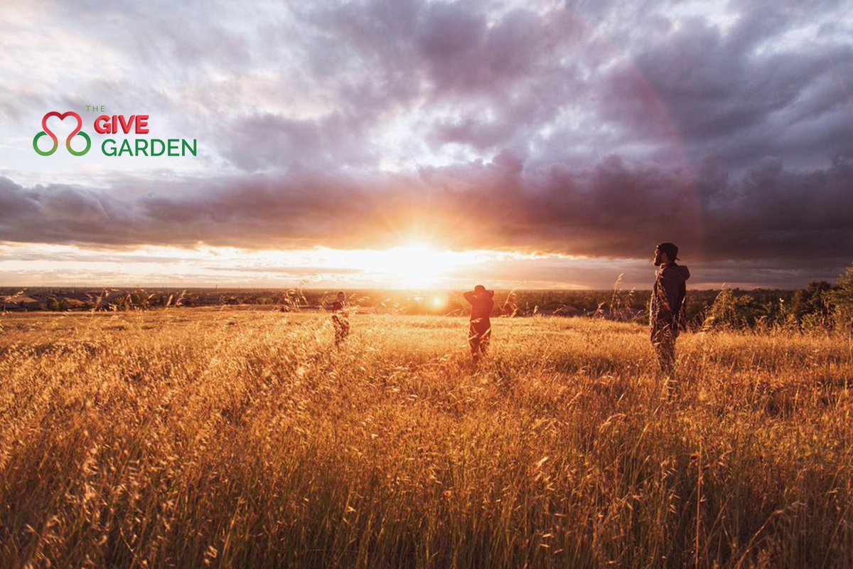 givegarden tweet picture
