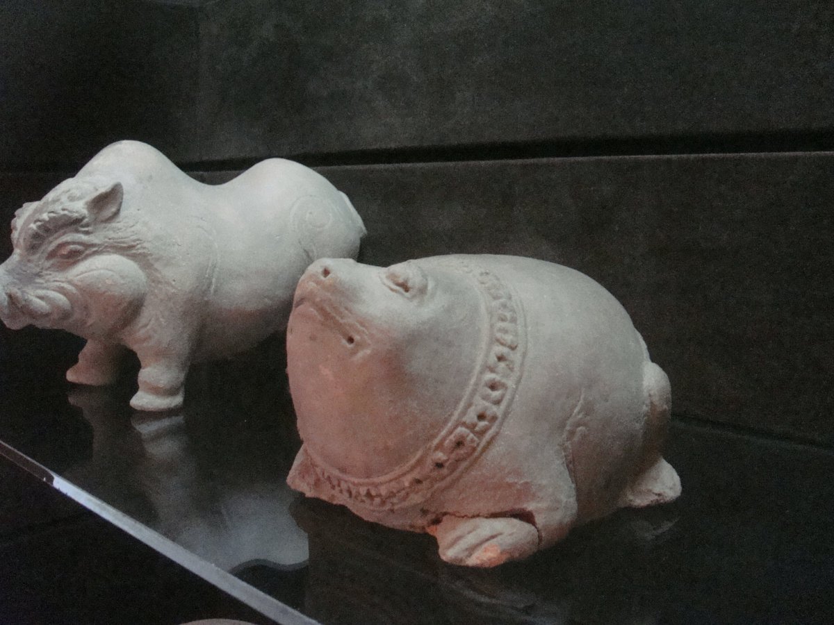 BRI_Museum's tweet photo. Celengan sbnarny berasal dr Nama binatang Celeng, krn bentuk Celengan memang banyak yg berbentuk Celeng. #MuseumBRI https://t.co/QZhR3XqVLm