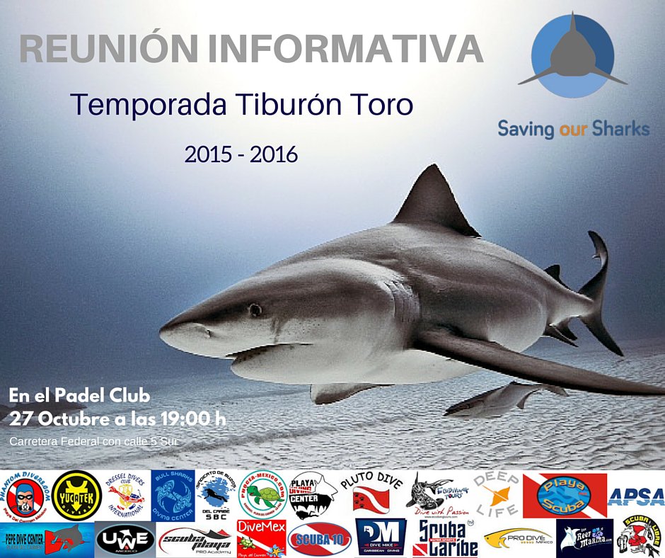sharks_saving's tweet photo. Convocamos a la comunidad de #buceo de Playa del Carmen a la reunión Informativa. #Sharks https://t.co/0Ykv8W1LJV