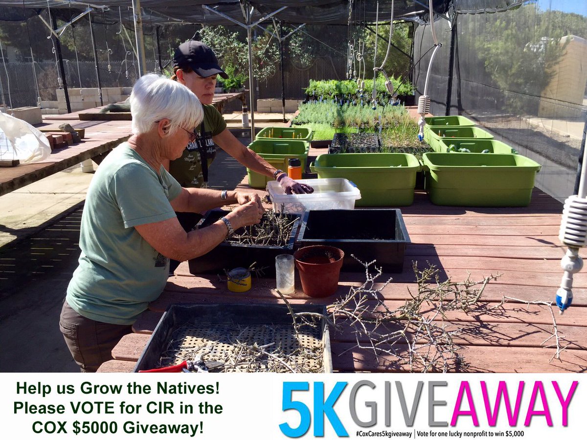 RestoreIslands's tweet photo. @CoxCalifornia Support Channel Islands Restoration in Cox 5K Giveaway: https://t.co/cBYpmJuVkZ (Santa Barbara) https://t.co/aXwZcJl5Gm