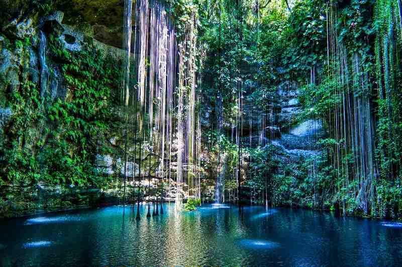 Gorgeous0Places's tweet photo. The Cenotes, Mexico

#GorgeousPlaces https://t.co/H0GpDmNgGO