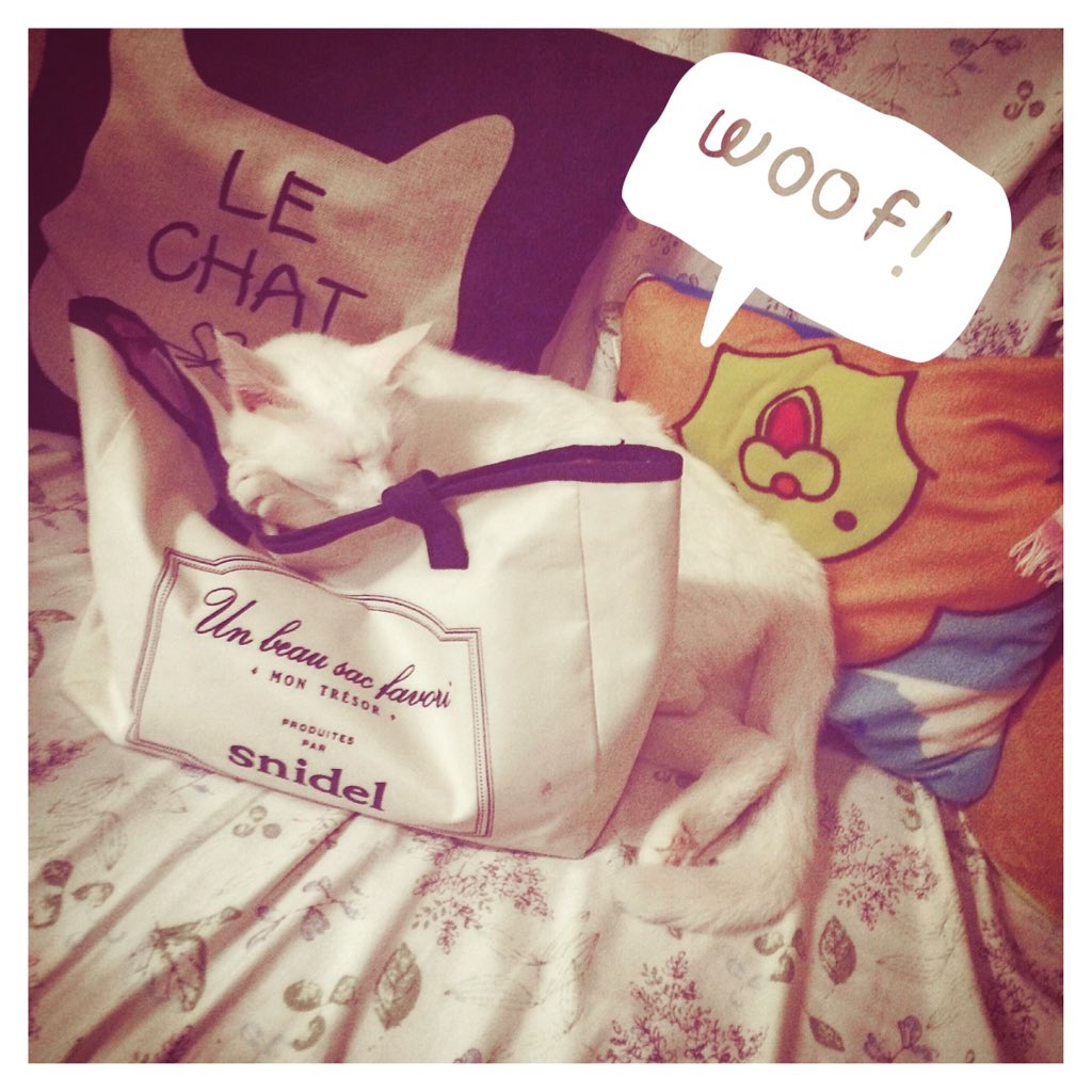 HeYiyun's tweet photo. https://t.co/GWQ8LPOiWH