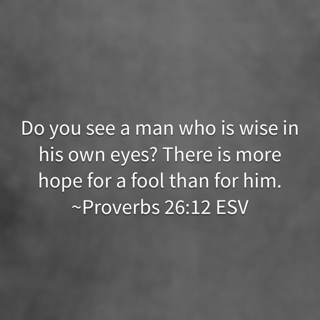 Daily_Proverbs tweet picture