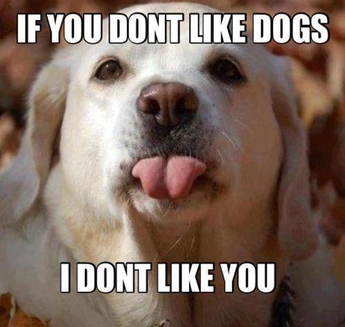 AwwwCuteAnimals's tweet photo. If you're going to RT something, RT this https://t.co/xRYYzgj3gj