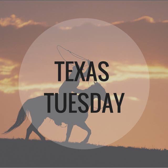 FPSSSC's tweet photo. Hey fleetwood! Come to school wearing plaid shirts and cowboy boots to win a prize and to show your school spirit! https://t.co/SxlAgKGILq