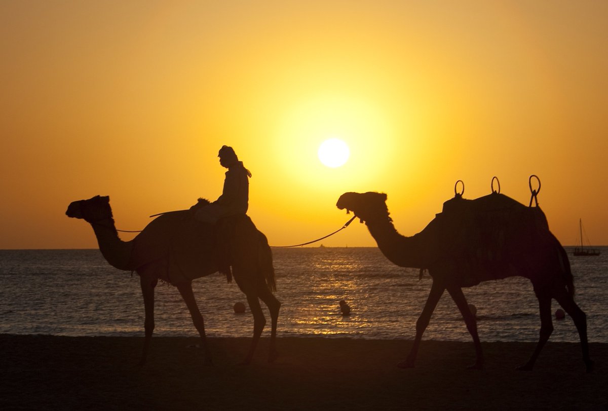 Ближний восток картинки для презентации