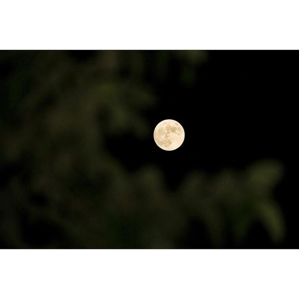 photorouteuss's tweet photo. ¿Ya vieron la Luna? 🌕 #photorouteuss #SmileUss #sotosisters https://t.co/rxw1FvOMfI https://t.co/hXSohvVonG