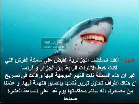 SBourdas's tweet photo. ههههههه آخر الاخبار https://t.co/gl5KtEVbmt