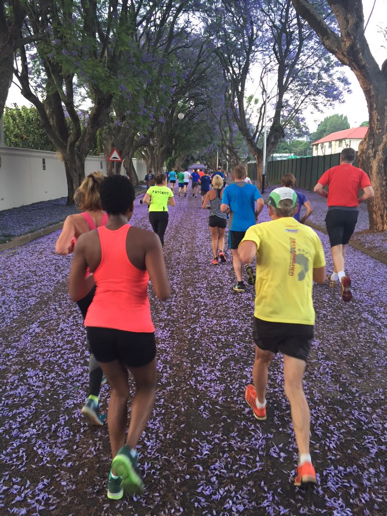 paul_vestact's tweet photo. Purple carpet on today's run. Jacarandas in Melrose. #RunEveryDay https://t.co/foGPGcnJCP