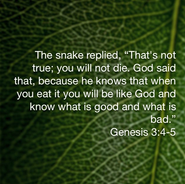 GNTruth tweet picture