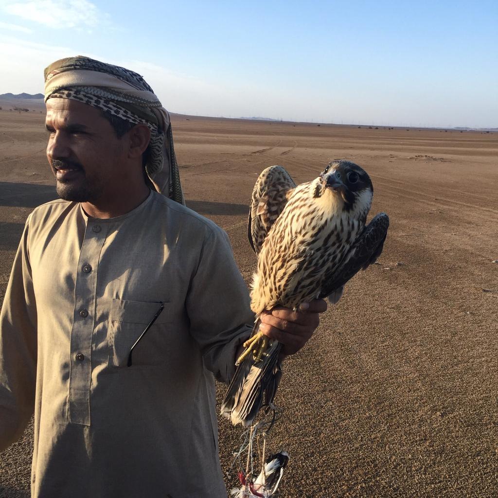 jaber_3636's tweet photo. هذي صورة الفرخ الشاهين المطروح في مصيبخه 
علي سنيد الصبحي
ربي يبارك له https://t.co/aTfPOnR2x8