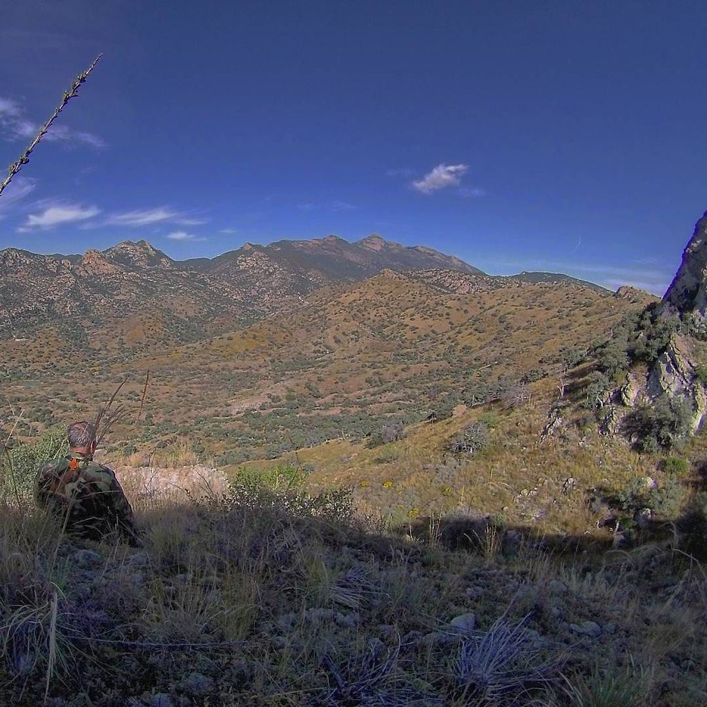 video_gopro's tweet photo. #arizona #az #southernarizona #hunting #whitetaildeer ##gopro #gopro4life #outdoors #adventure #dontwanttoleave #me… https://t.co/Y4yVbnC95B