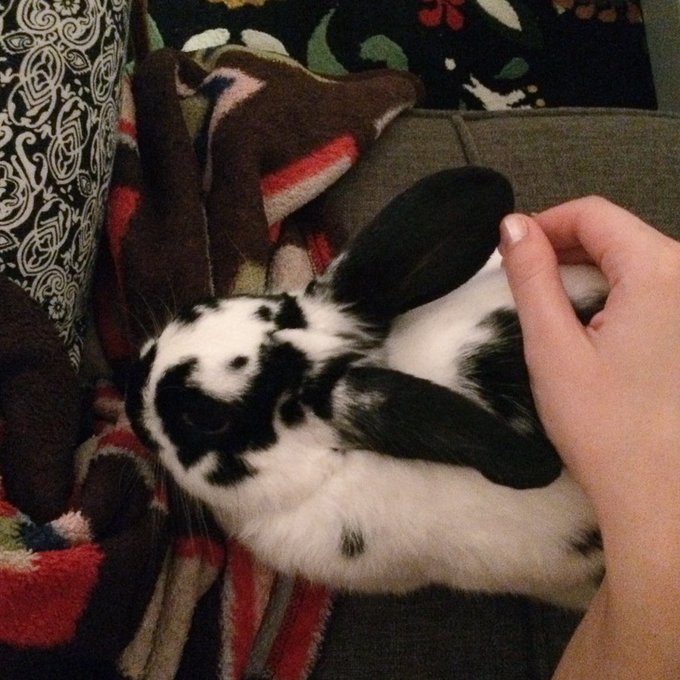 Watch theobanoth's leaked NSFW photo on TwXstars