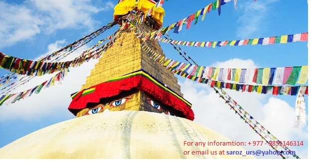LetsTravel14's tweet photo. Complete tour and trek solution..
https://t.co/uVn7v2daCw https://t.co/yfo0tKvRAB