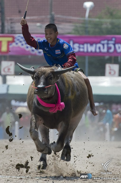 Thai PBS tweet media