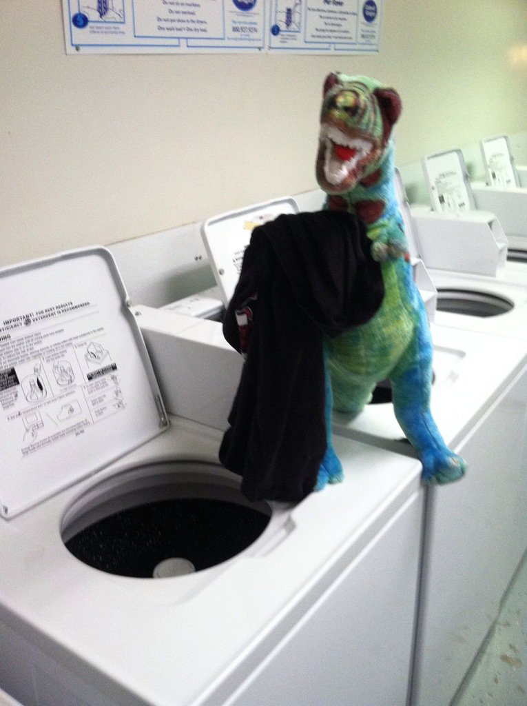 thereallyfakeme's tweet photo. I had help doing laundry last night #dinodiary https://t.co/MgXWIyiXBG