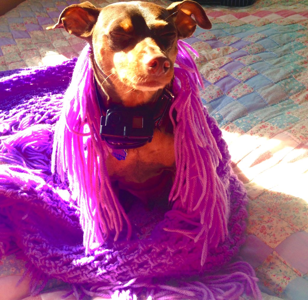 aly lynn (alliesaap) Twitter