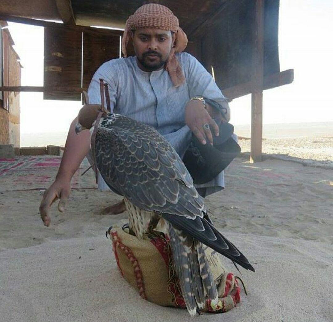 jaber_3636's tweet photo. هذي صورة الفرخ المطروح في الرايس مصيبخه 
ربي يبارك لهم ويرزقهم من واسع فضله https://t.co/BRnhGwSpjO